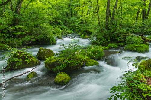 Oirase mountain stream in early summer