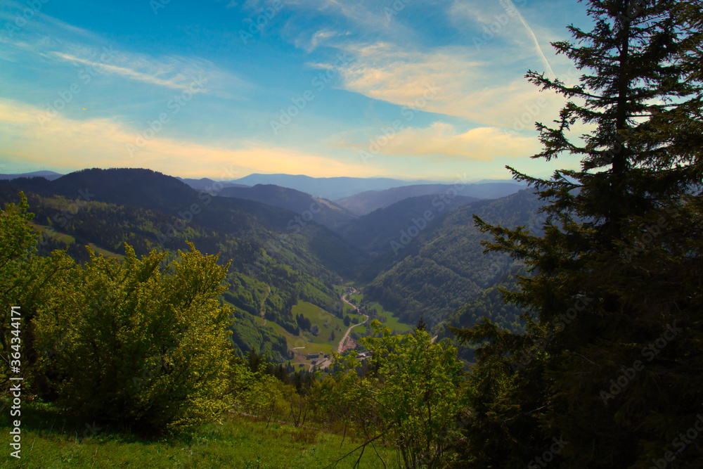 Scenic panorama view of Black Forest