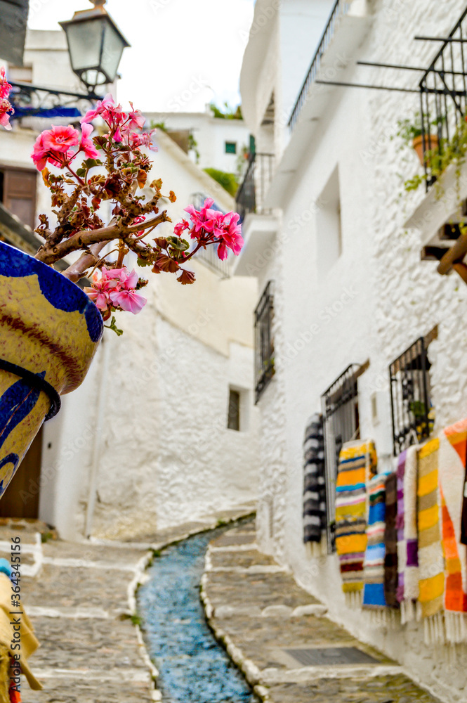Obraz premium Flowers on a street in a Spanish town.