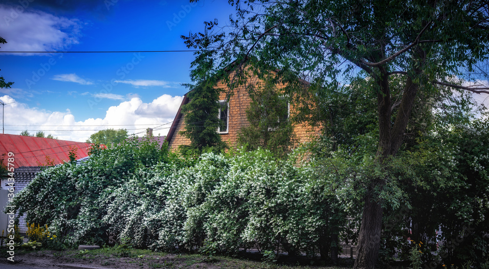 A two-story residential building, half-hidden behind an alley of blooming jasmine.