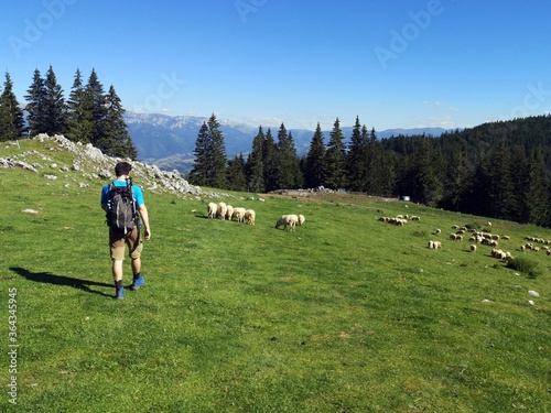 Hiker on the trail in the mountains 