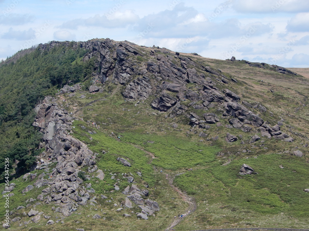 Obraz premium Roaches