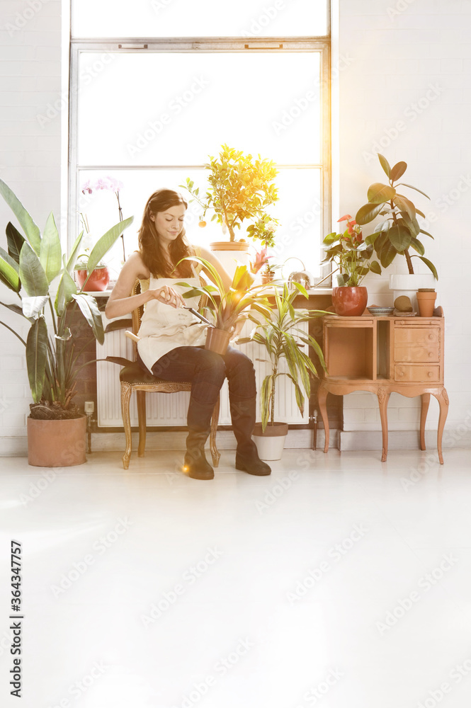 Women with potted plants at home office Women with potted plants at home office