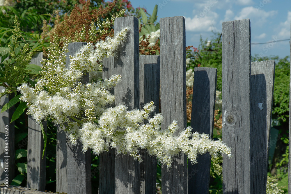Naklejka premium white picket fence