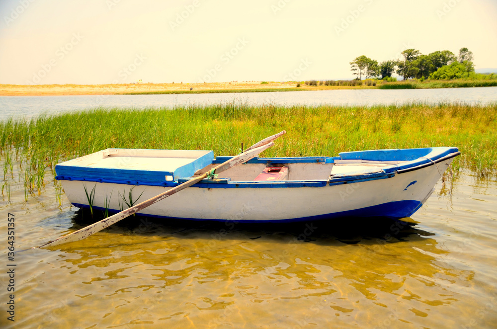 a blue and white boat in the lake
a blue and white boat in the lake