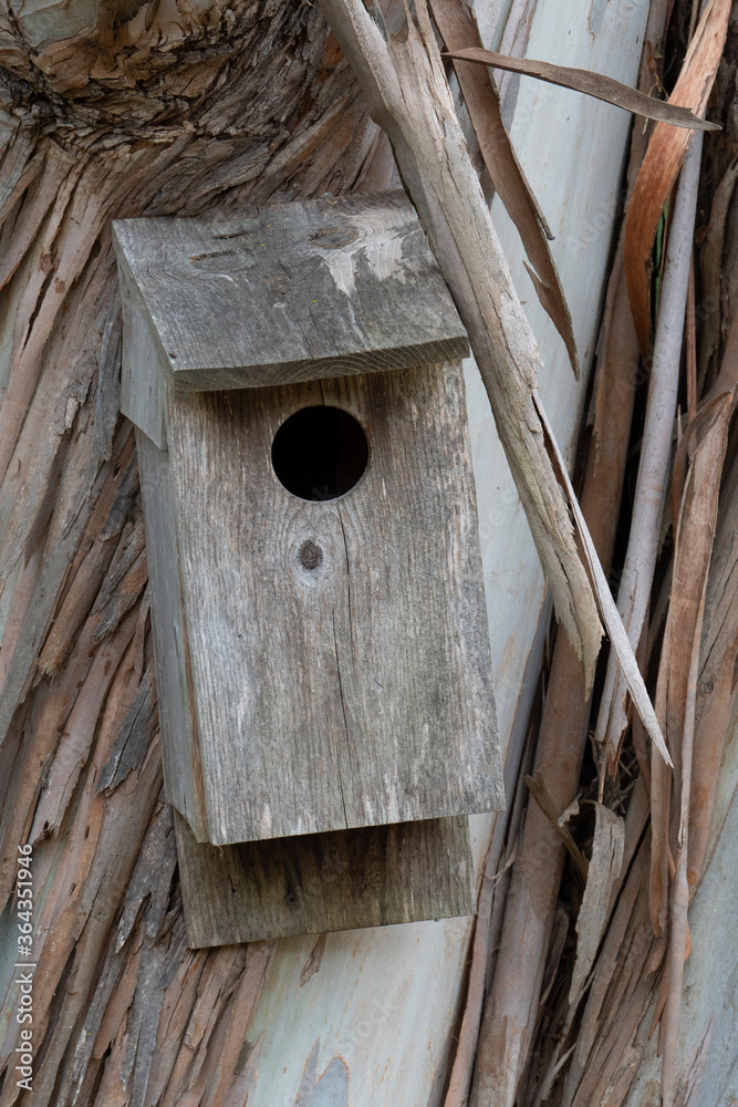 bird house on a tree bird house on a tree