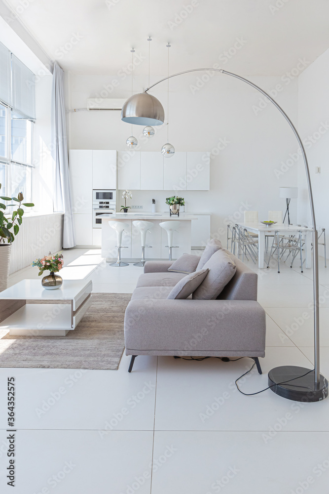 White Furniture Living Room Ideas For Apartments | Cabinets Matttroy