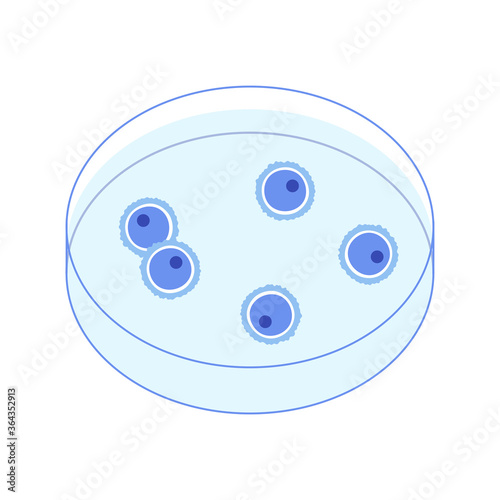 Reproductive system concept