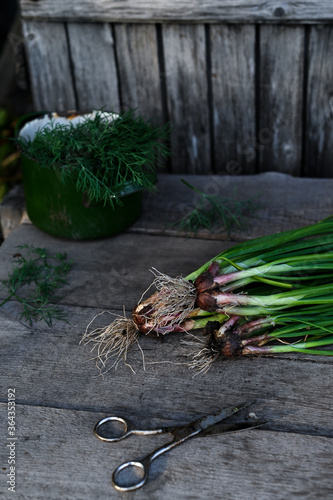 Healthy food from garden on old wooden background