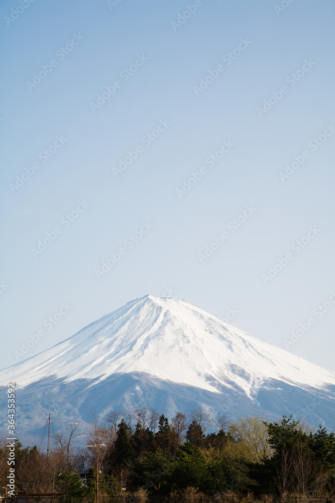 Mt. Fuji Seen From Kawaguchi Lake