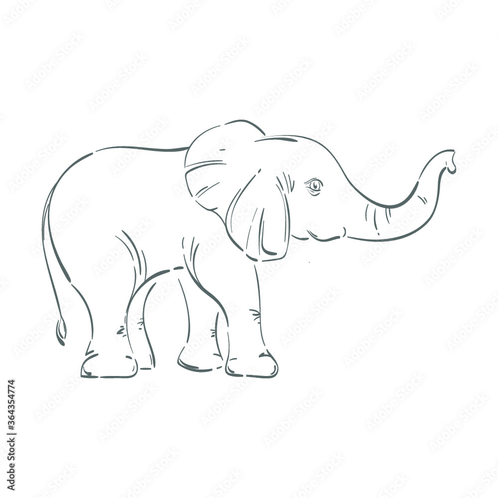 elephant illustration