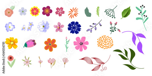 Floral elements. Big vector set leaves and flowers for design  ideal. Different decorative elements. Vector