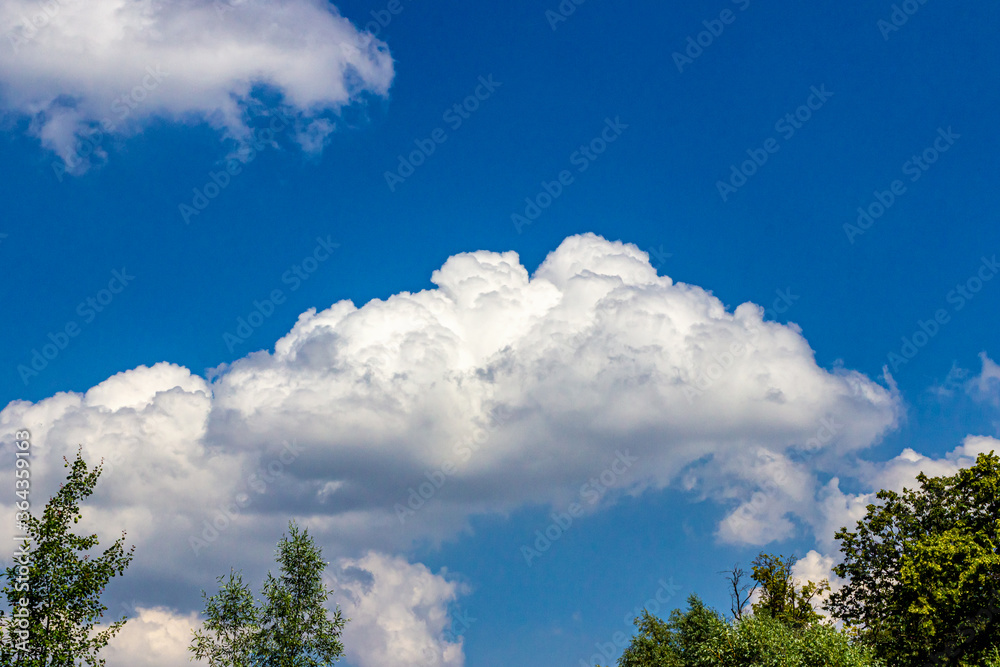 White clouds over the tops of green trees in a bright blue sky White clouds over the tops of green trees in a bright blue sky