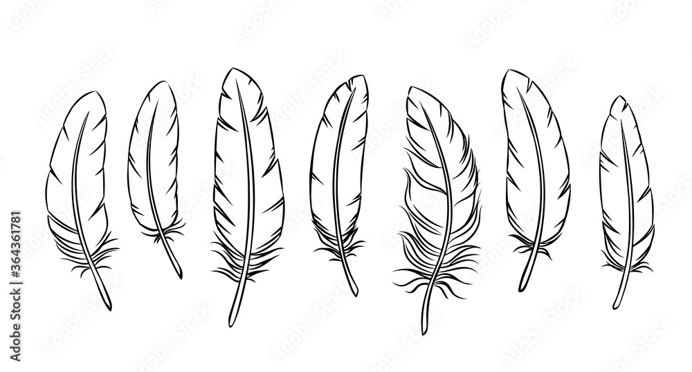 Outline feathers set