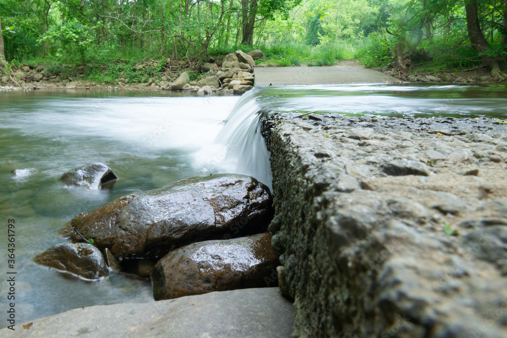 Obraz premium river in the forest