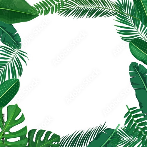 Green tropical leaves frame