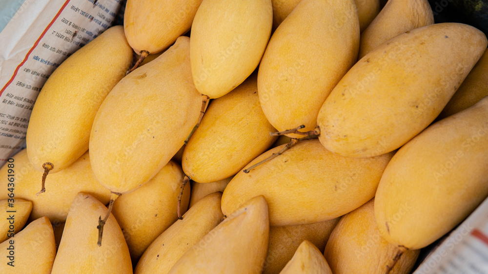 purchase of tropical fruits in the markets of Asia. Mango fruits for cooking and eating purchase of tropical fruits in the markets of Asia. Mango fruits for cooking and eating