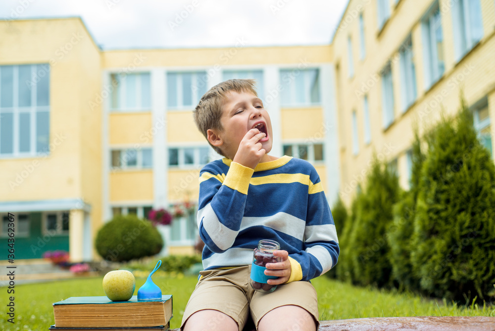 Fototapeta premium Cute schoolboy eating outdoors the school from glass lunch boxe. Food for lunch, lunchboxes with juice, apple and sandwiches, natural fruits.Healthy school breakfast for child.