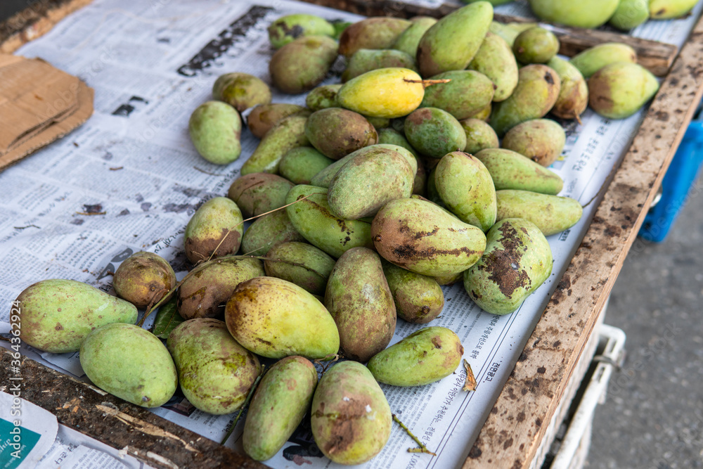 green mangoes lying on a market counter. Exotic fruits of Asia green mangoes lying on a market counter. Exotic fruits of Asia