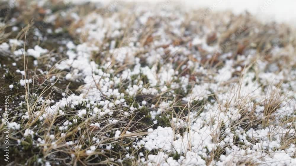 Hail fall on the grass, small hail close up. Storm in iceland Hail fall on the grass, small hail close up. Storm in iceland