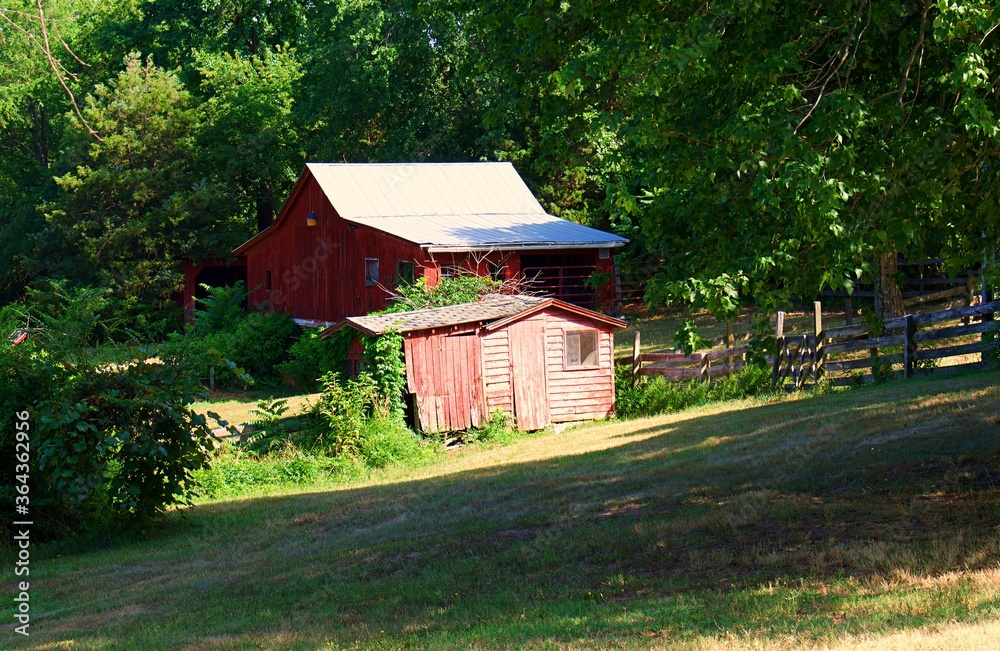 Sun shining on red barn and shed surrounded by trees. Sun shining on red barn and shed surrounded by trees.