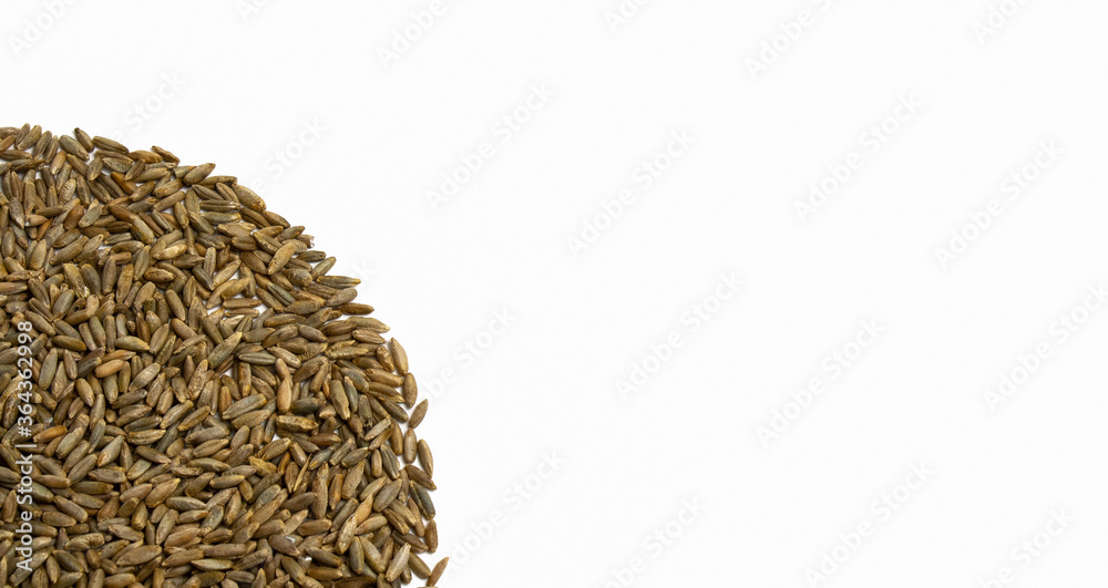 Grains of wheat, barley, rye, oats on white background close-up, natural dry grain in form of even semicircle in the right side, seeds, isolated, top view. Free space for text. Banner for web site Grains of wheat, barley, rye, oats on white background close-up, natural dry grain in form of even semicircle in the right side, seeds, isolated, top view. Free space for text. Banner for web site