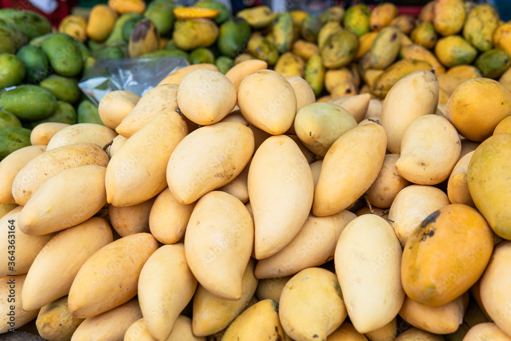 selling fresh mangoes in a market in Asia. Mango is the most popular fruit in Asia. selling fresh mangoes in a market in Asia. Mango is the most popular fruit in Asia.