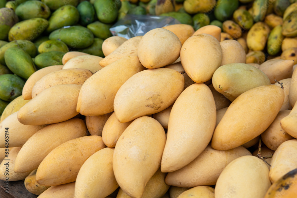 selling fresh mangoes in a market in Asia. Mango is the most popular fruit in Asia. selling fresh mangoes in a market in Asia. Mango is the most popular fruit in Asia.