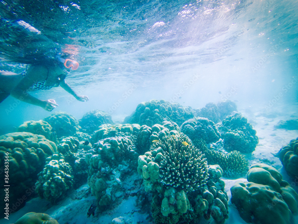 woman snorkeling in crystal clear tropical waters