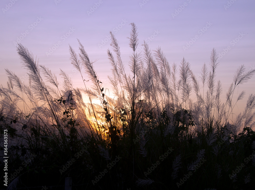 Fototapeta premium Bright orange and yellow colors sunset sky