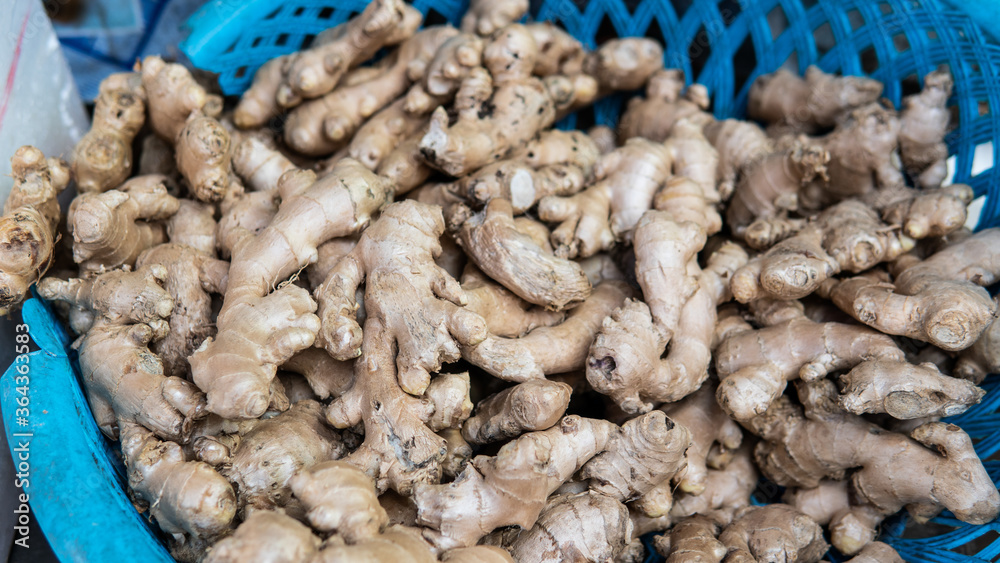 wholesale ginger to the world markets. Ginger - the most useful supplement for strengthening immunity wholesale ginger to the world markets. Ginger - the most useful supplement for strengthening immunity