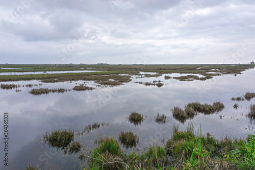 Marshland on Deal Island, Somerset County, Maryland, USA. Deal Island is one of many land masses in the Chesapeake Bay that is shrinking due to a combination of its low elevation and storm erosion.