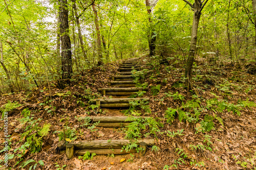 Stairway in a mountain park