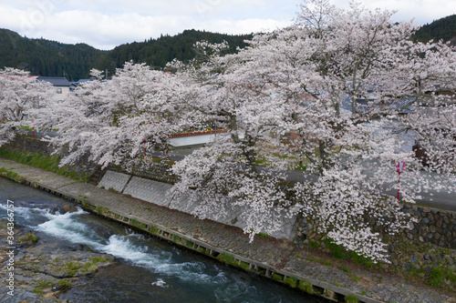 岡山美甘宿の春