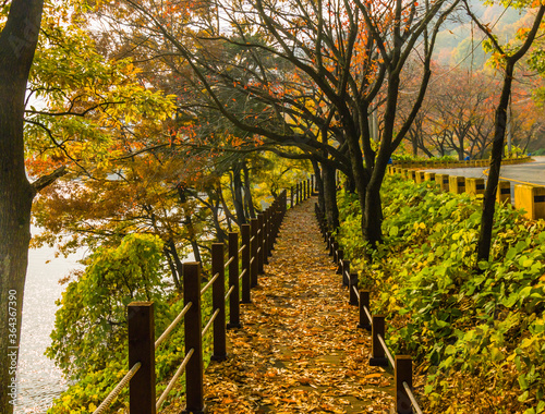 Wooden walkway with rope railings next to country road