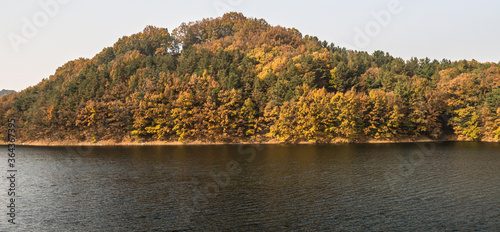 Lake with distant shore covered with lush foliage