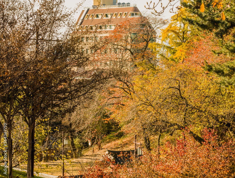 Landscape of a city park with trees in fall colors