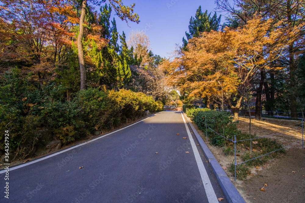 Paved road in a peaceful park like setting Paved road in a peaceful park like setting