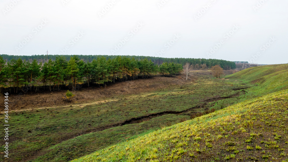 Natural landscape, forests and fields. Fresh green grass grows on burnt-out fields in spring. Natural landscape, forests and fields. Fresh green grass grows on burnt-out fields in spring.