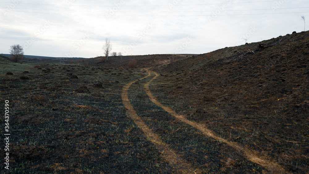 A dirt road on a burnt-out field, natural spring landscape. A dirt road on a burnt-out field, natural spring landscape.