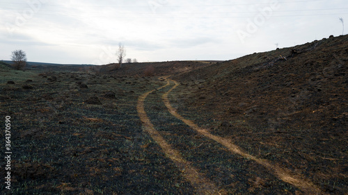 A dirt road on a burnt-out field, natural spring landscape.