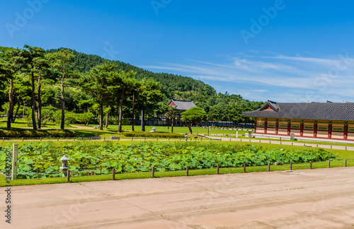 Buyeo  South Korea  July 7  2018  Lily pond in front of to treed park and oriental buildings with tiled rooftops at Neungsa Baekje Temple with family in distance. For editorial use only.