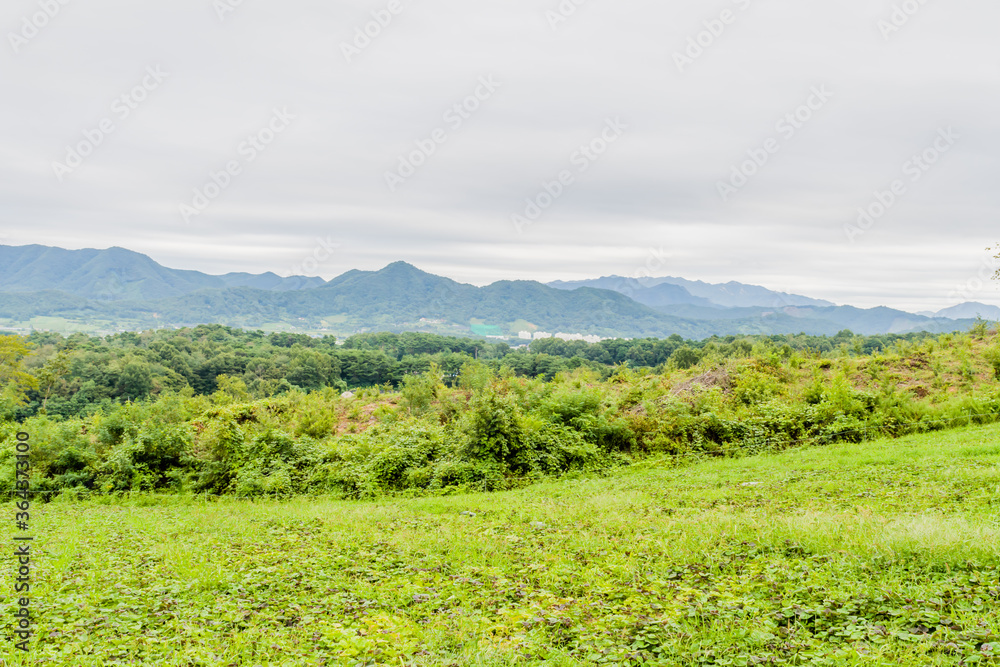 Landscape of foliage in mountain park Landscape of foliage in mountain park