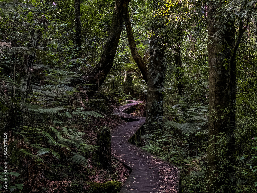 Fototapeta premium Nga Tapuwae o Toi, or the 'Footprints of Toi', is a walking trail between Whakatane and Ohope in New Zealand