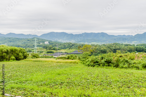 Landscape of foliage in mountain park