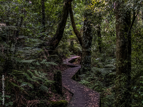 Nga Tapuwae o Toi  or the  Footprints of Toi   is a walking trail between Whakatane and Ohope in New Zealand