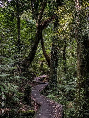 Nga Tapuwae o Toi, or the 'Footprints of Toi', is a walking trail between Whakatane and Ohope in New Zealand