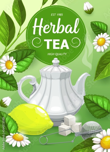 Herbal tea with chamomile and mint leaves flavor, vector hot drinks and herbs. Chamomile and mint herbal green or black tea in porcelain teapot with sugar and brewing tea strainer