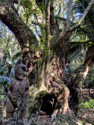 Obraz na plátne Hukutaia Domain ranks as one of Opotiki's main attractions
