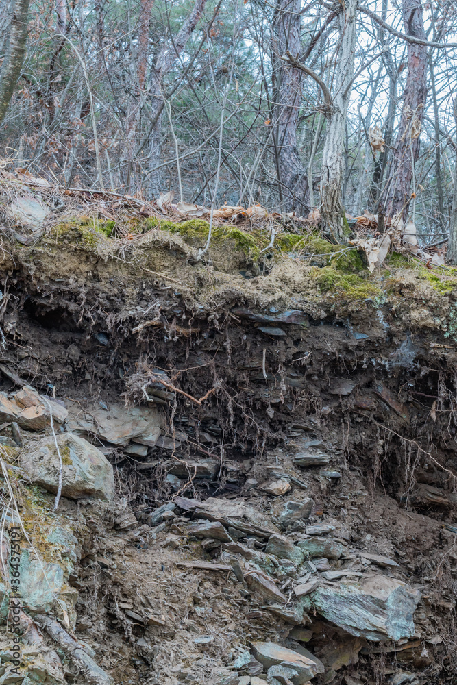 Rocks protruding from ground Rocks protruding from ground